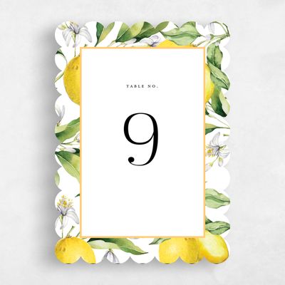 White Scalloped Wedding Table Number - Praga