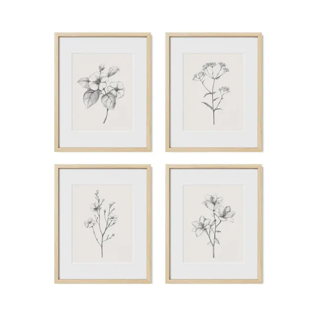 Haus and Hues Framed Antique Floral Wall Art Set, Natural, 12x16