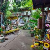 Baan Kang Wat Artist Village