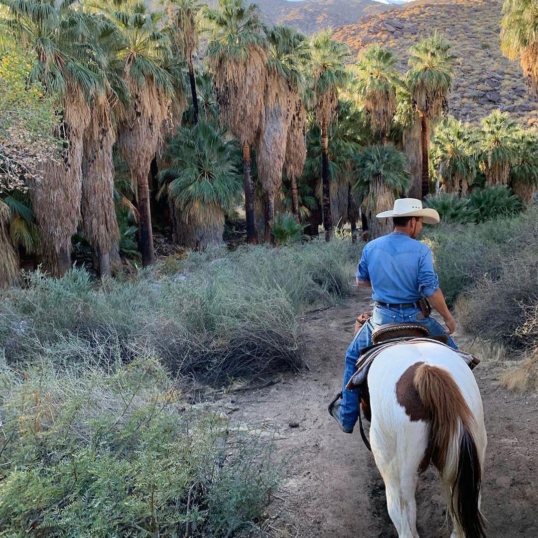 Horseback Riding On Our Honeymoon