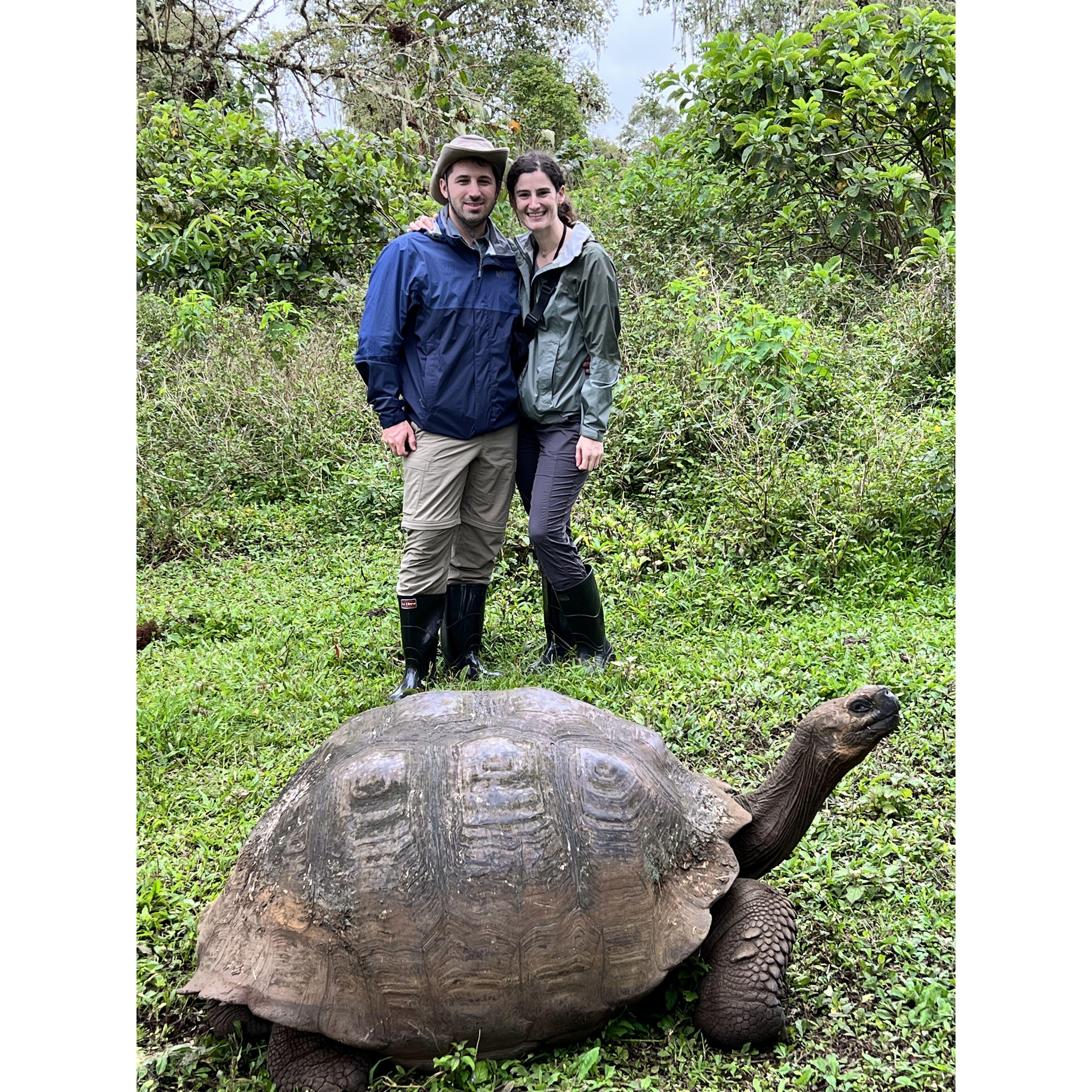 Galapagos Islands