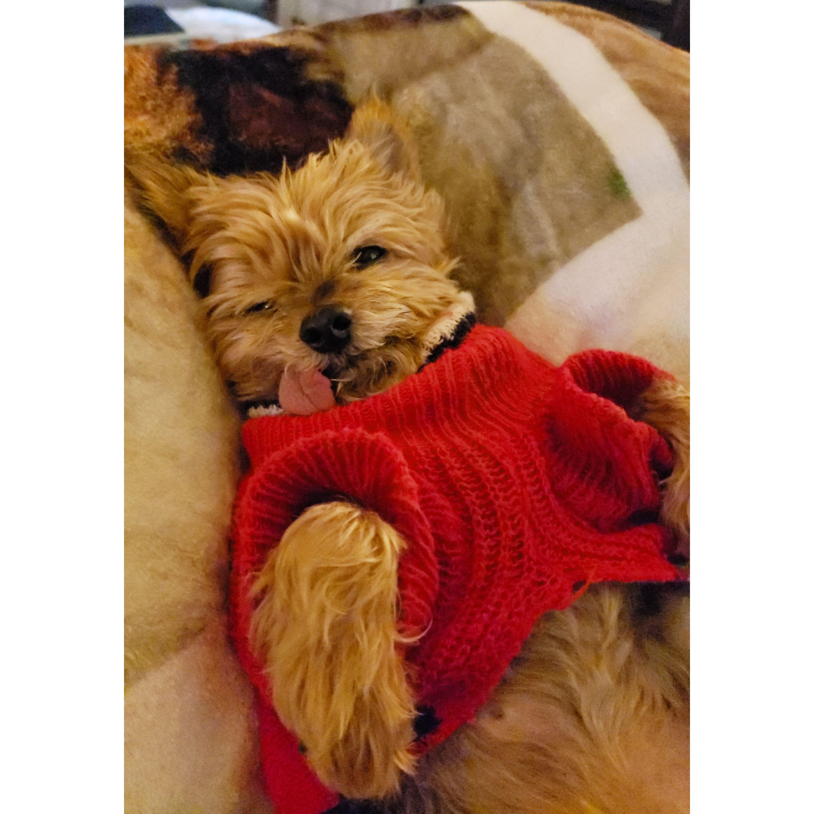 Our baby girl Charlotte