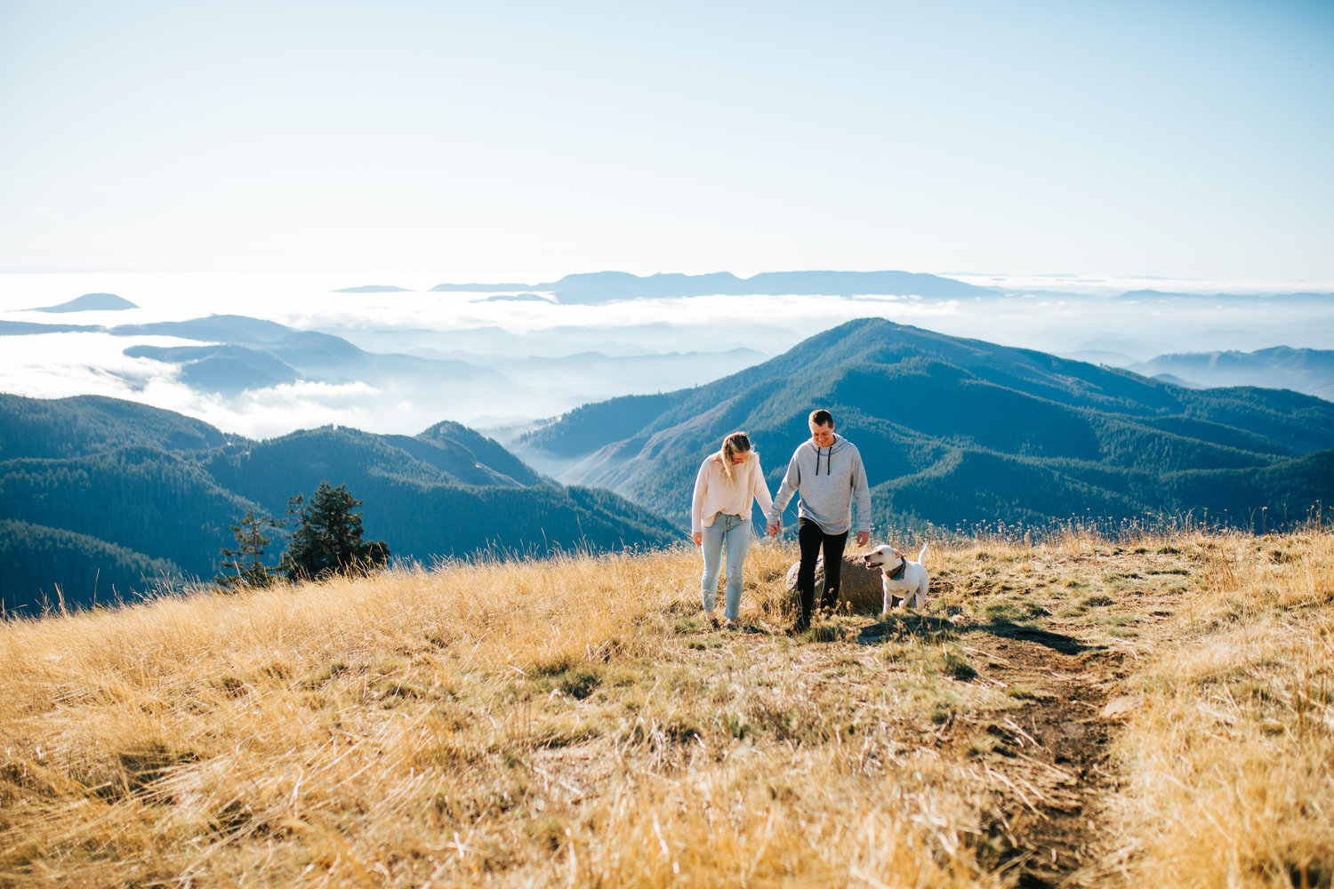 The Wedding Website of Alyssa Asay and Seth Nelson