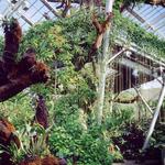 Cleveland Botanical Garden