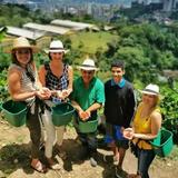 Medellín: Coffee Farm Tour in Barrio La Sierra