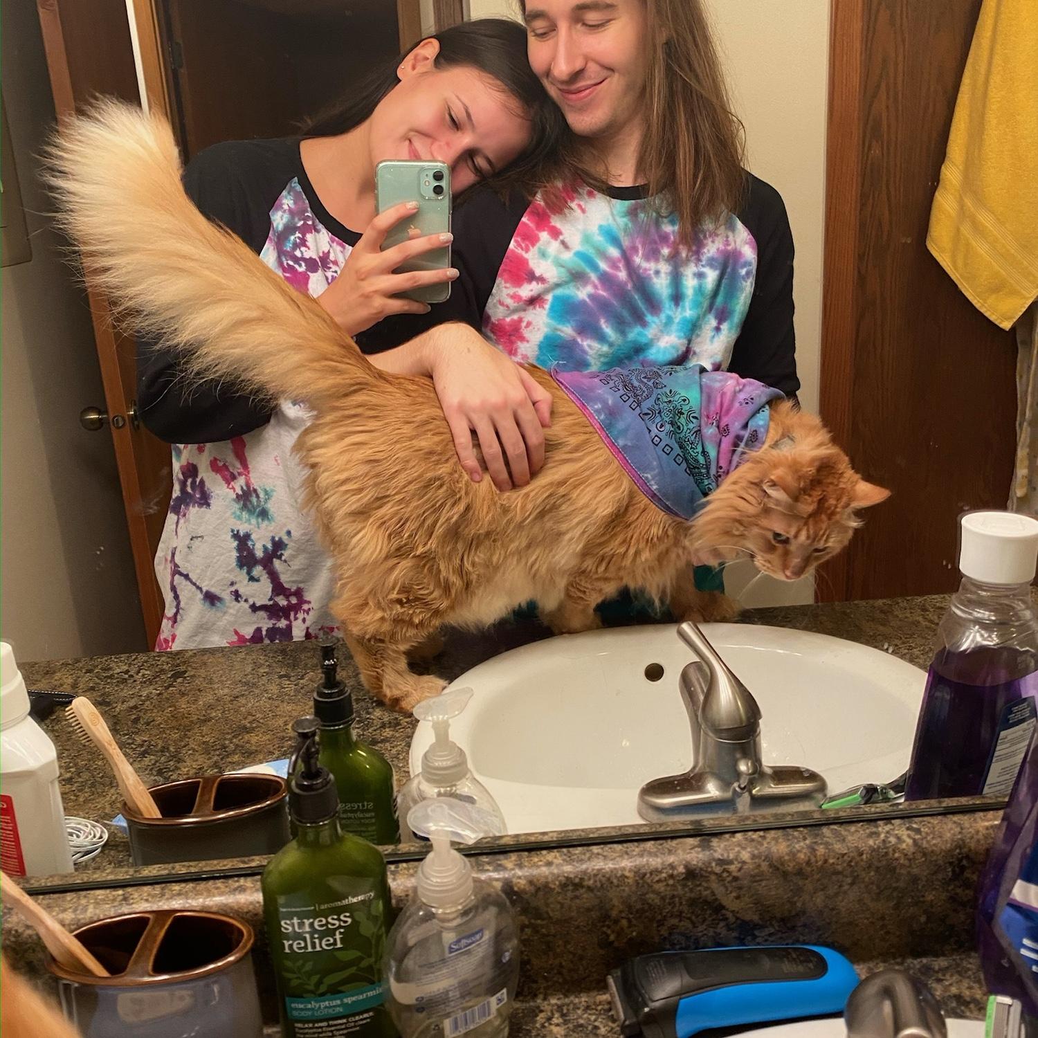 We all know Birdy likes to craft and do DIY projects, so there were a few tie-dye parties with the family! This is from before Nyxie and Cleopawtra entered the chat, so Pumpkin got his own bandana.
