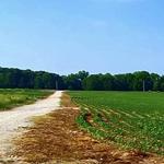 Nature Trail (2 miles)
