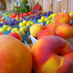 Indian Creek Farm