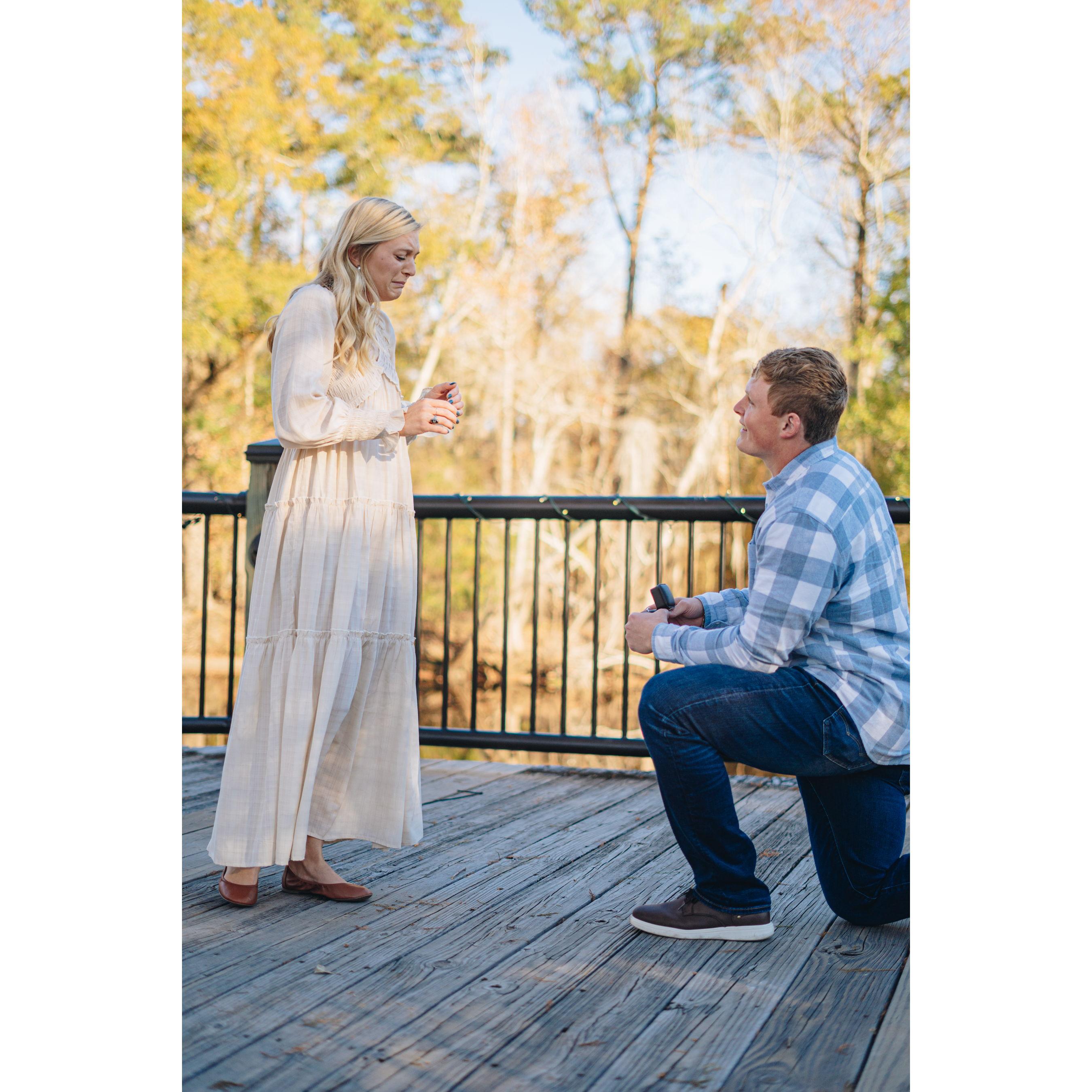 He asked, she cried, never officially said "yes" but her face said it for her!