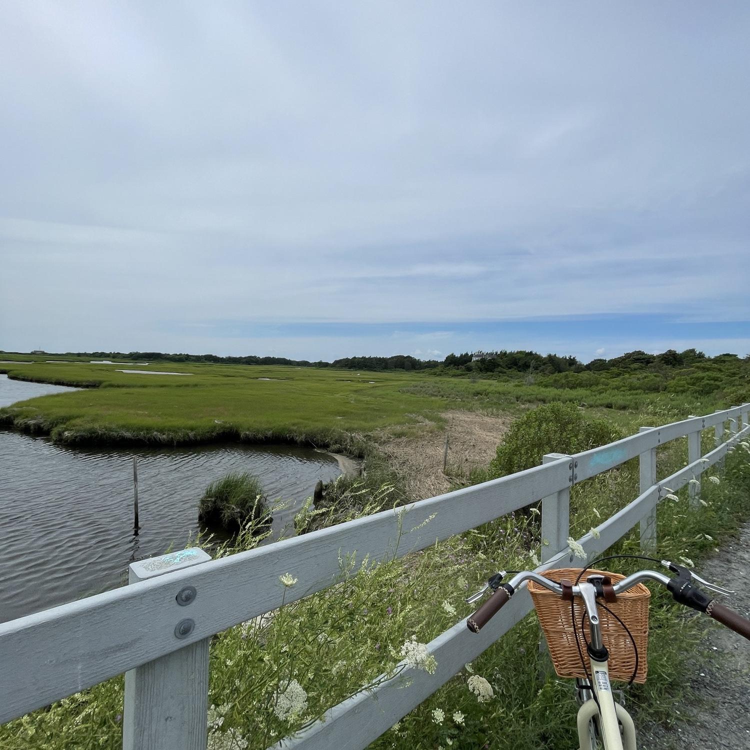 I thought we were just going on a fun bike ride, little did I know we’d be engaged in a few hours!