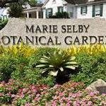 Marie Selby Botanical Gardens Downtown Sarasota campus