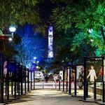 Avenida Chapultepec