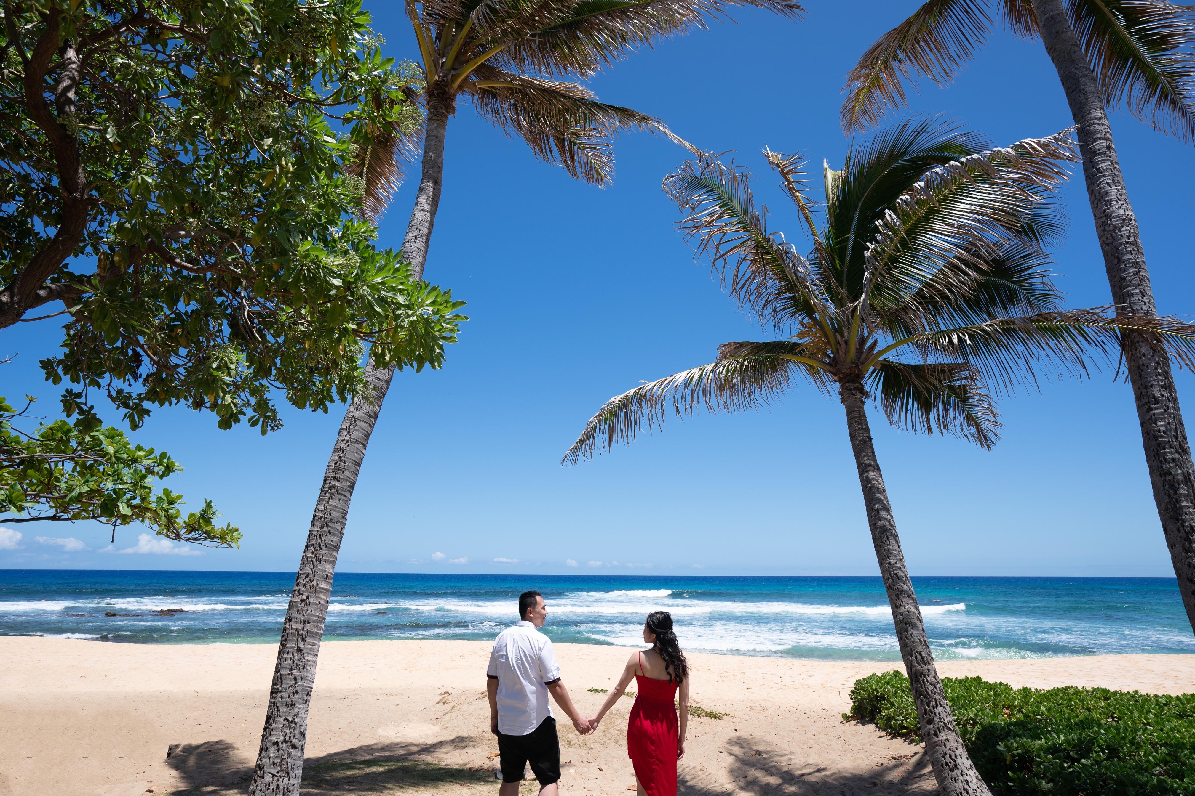 The Wedding Website of Lu Shi and Lin Yang