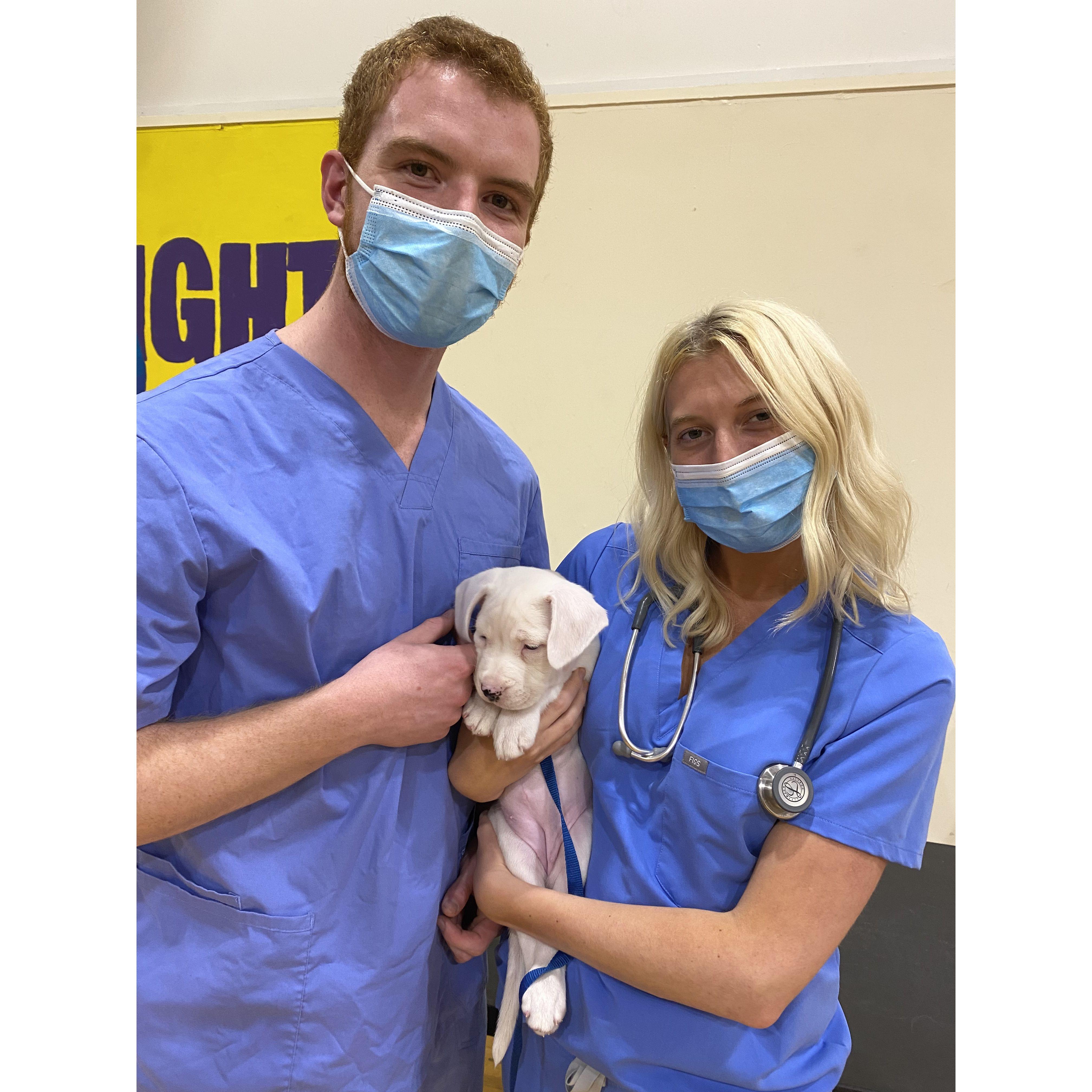 0.01 seconds away from adopting another puppy