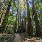 Muir Woods National Monument