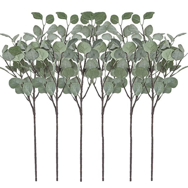 Silver Dollar Eucalyptus Leaf Greenery Stems