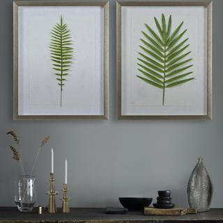 2-Piece Bayard Plant Leaf Wall Set