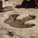 Dinosaur Footprints