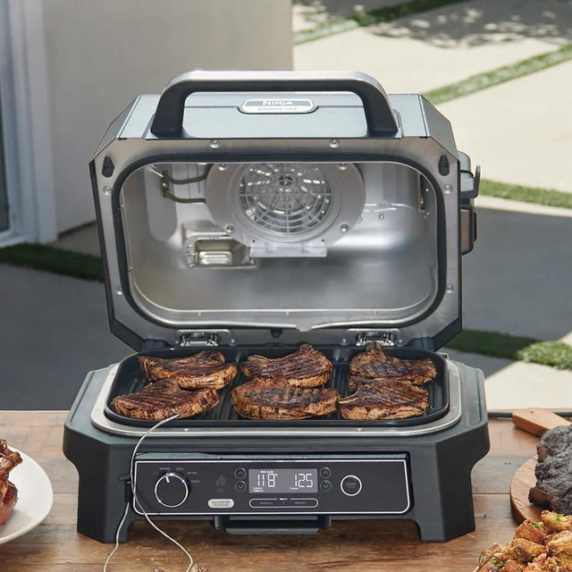 Ninja Woodfire Electric Grill