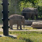 Oregon Zoo