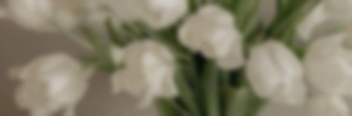 The Wedding Website of Kathia Lopez and Matthew O’Neal