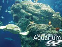 South Carolina Aquarium