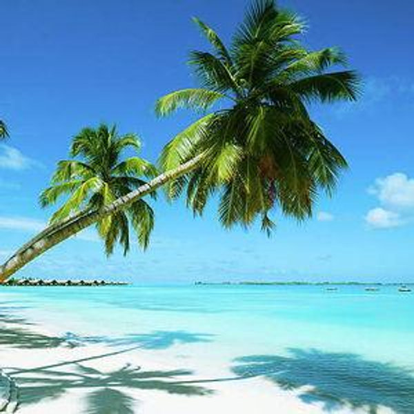 Honeymoon Fund