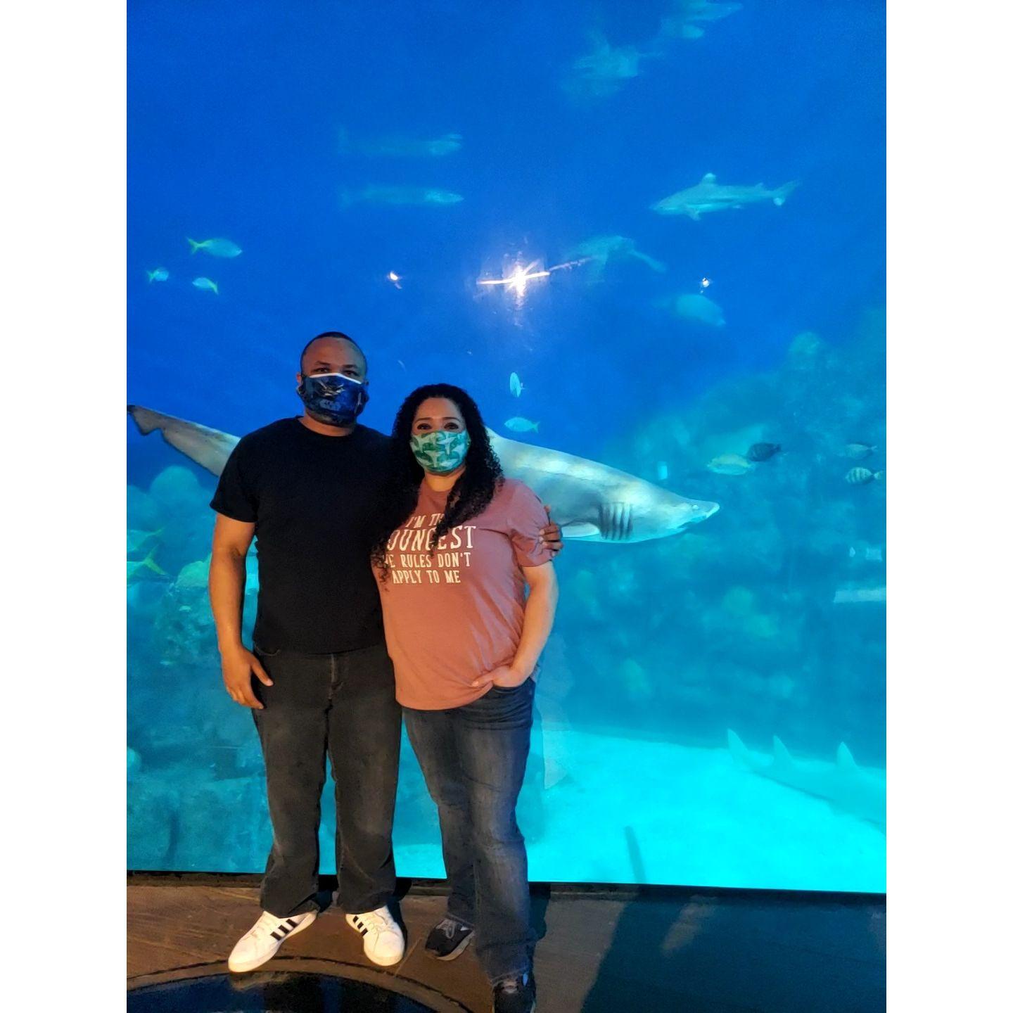 Aquarium trip
