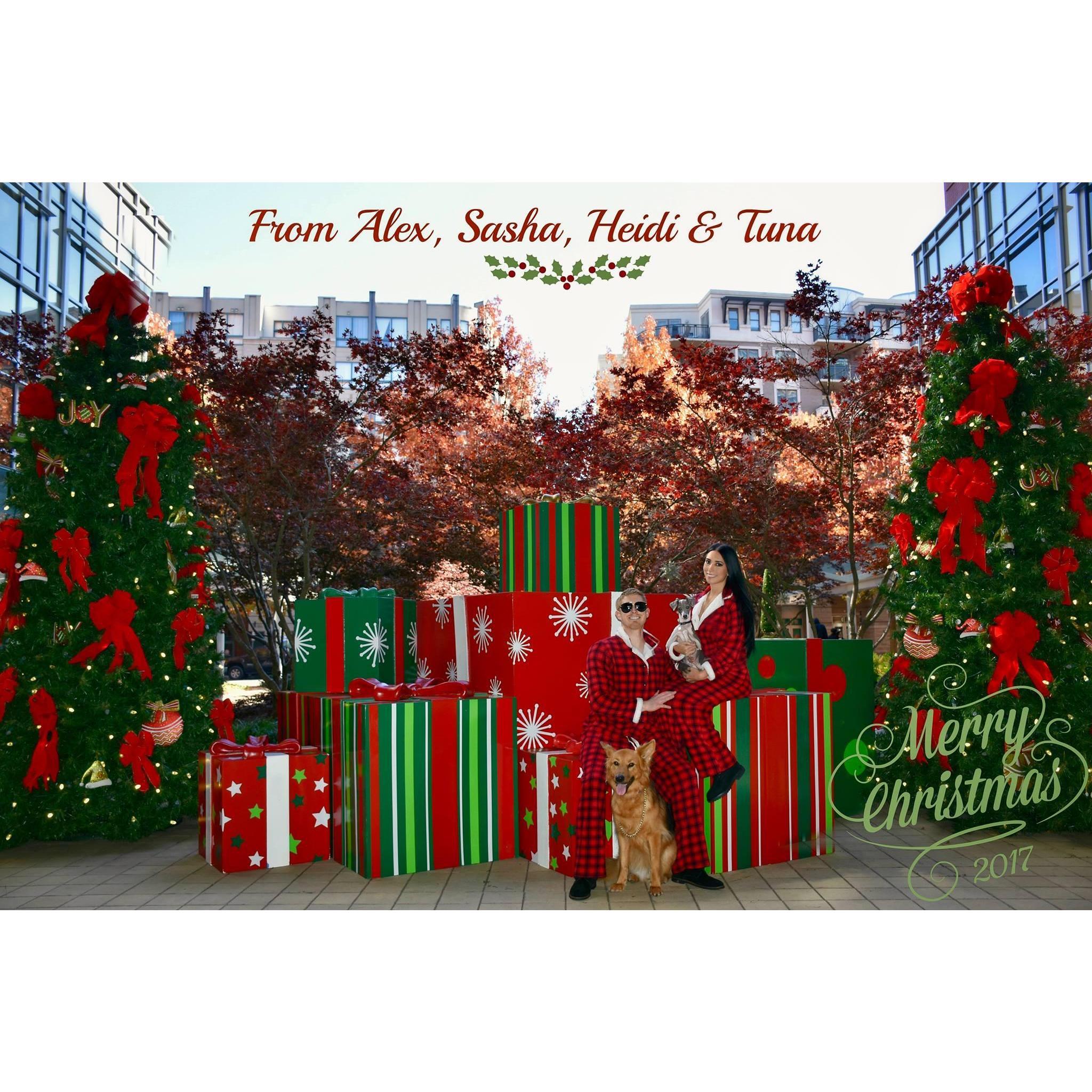 2017 Christmas Photo