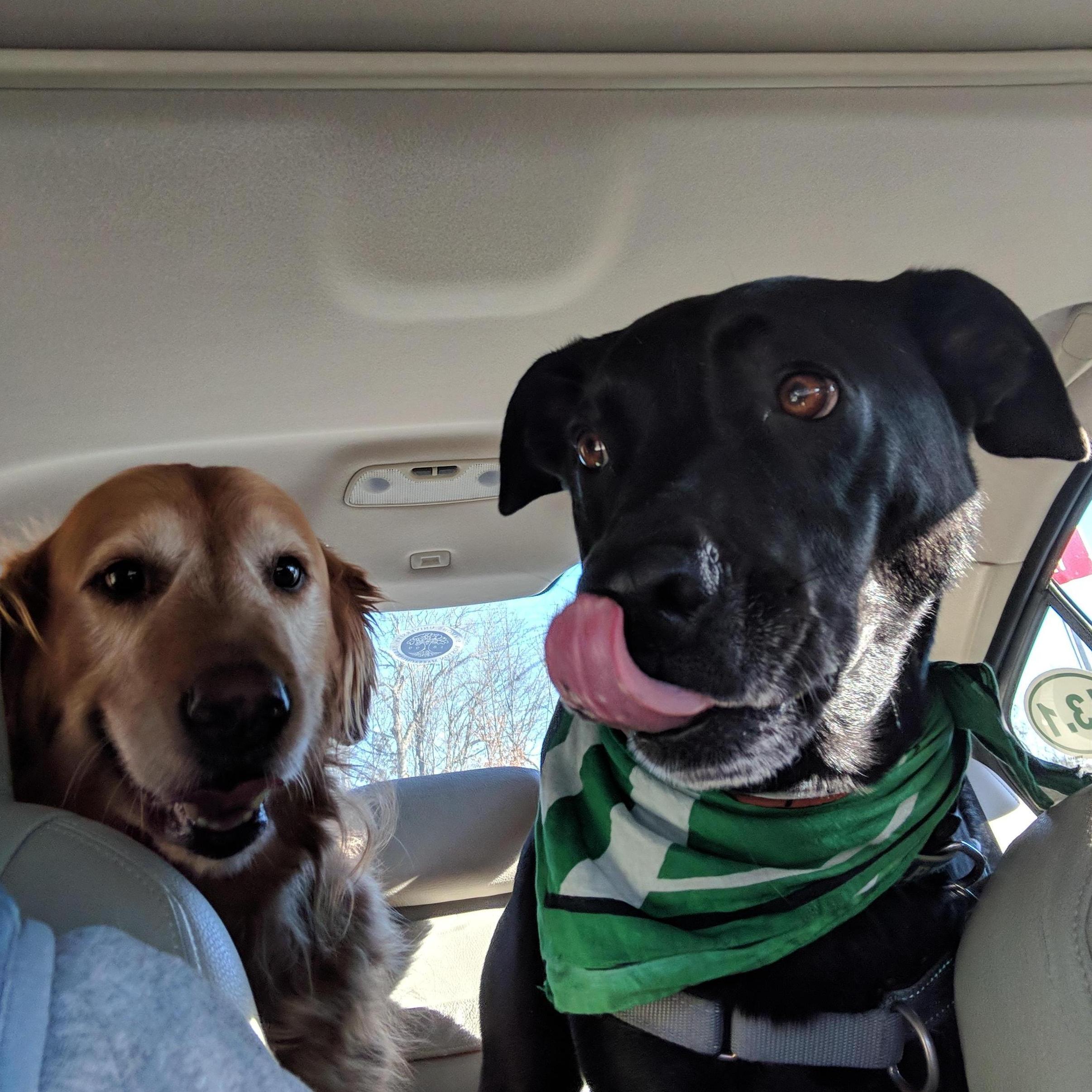 Is there going to be yummy food?  YUP.