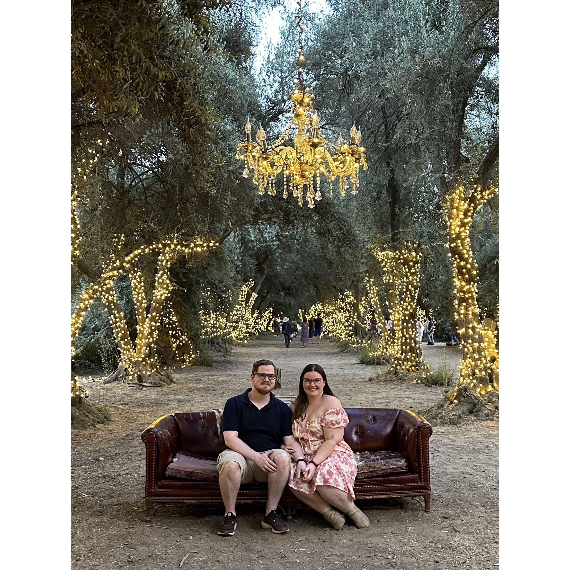 Lavender Festival Year 2