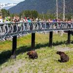 Alaska Wildlife Conservation Center