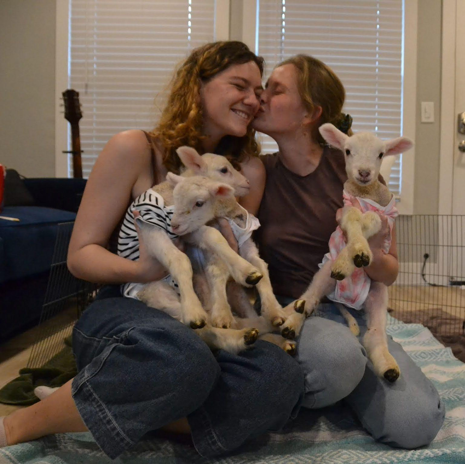 Rescued lamb sleepover