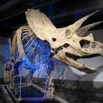 Museum of Science