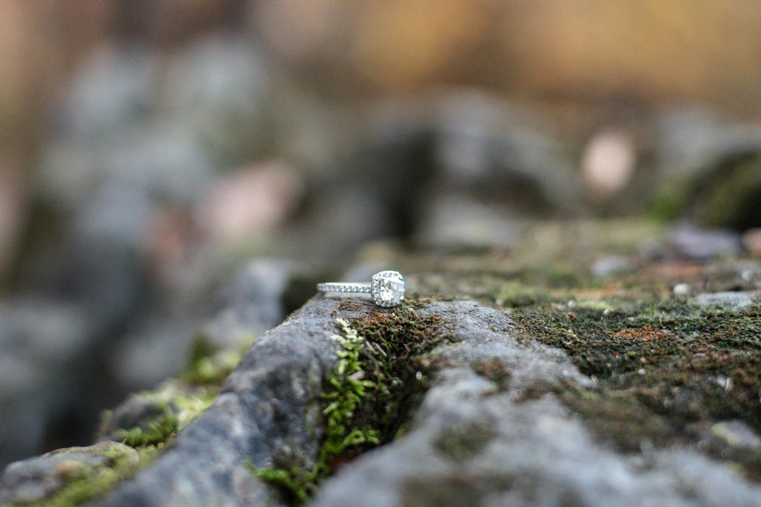 The Wedding Website of Kalyssa Ringquist and Nate Cupaiuolo