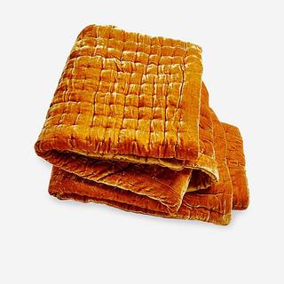 Luminous Velvet Throw