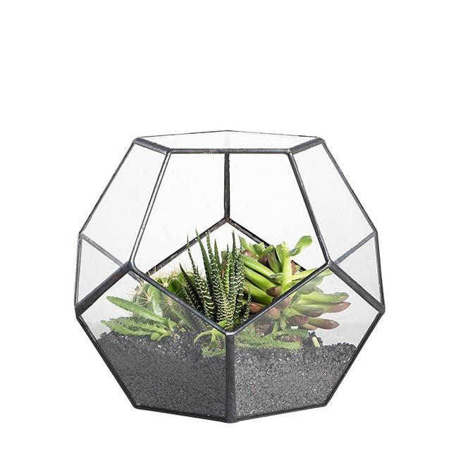 NCYP 5.9" Black Glass Geometric Terrarium Planter Pentagon Container Modern Decor Display Flower Pot for Succulent Fern Air Plant, Balcony Tabletop Window Miniature Fairy Garden DIY Gift (No Plants)