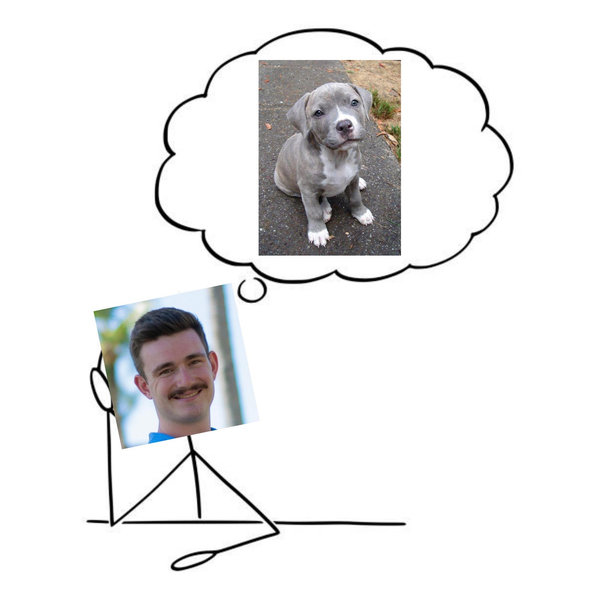 Puppy Fund