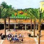 Audubon Zoo