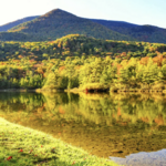 Equinox Preserve