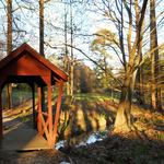 Donald E. Davis Arboretum