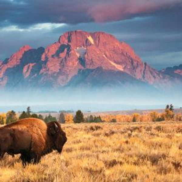 National Parks Annual Pass