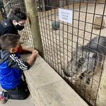 The Creature Conservancy