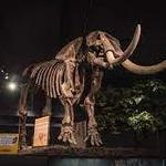 RMSC (Rochester Museum & Science Center)
