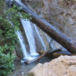 Limekiln State Park
