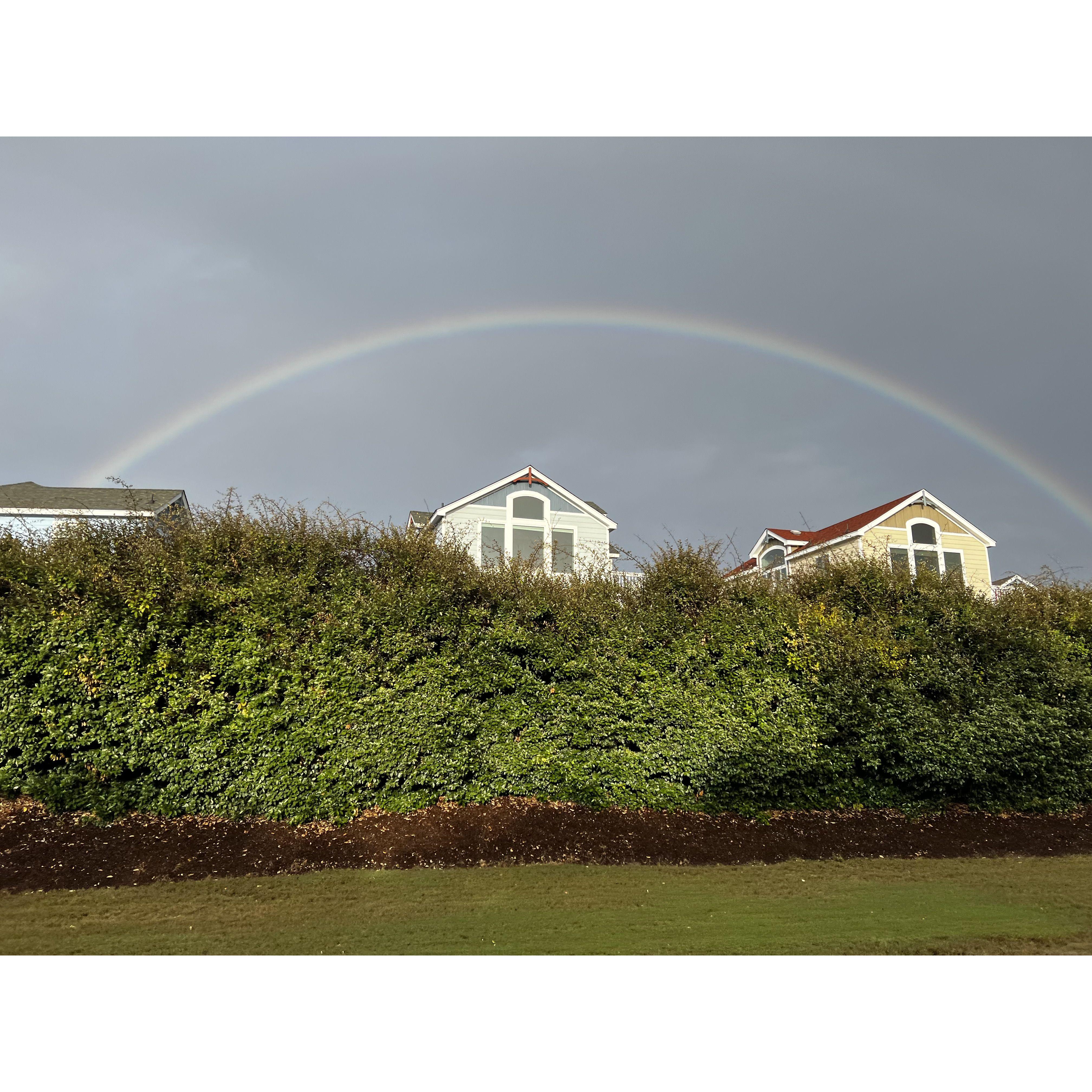 Papa's rainbow the next day