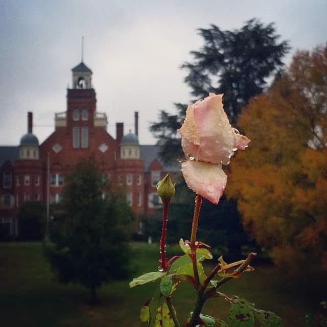 Susan's Alma Mater - Randolph-Macon Woman's College.