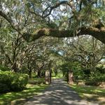 Charles Towne Landing State Historic Site