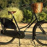 Bike Rentals