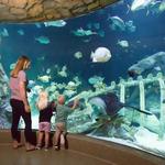 SEA LIFE